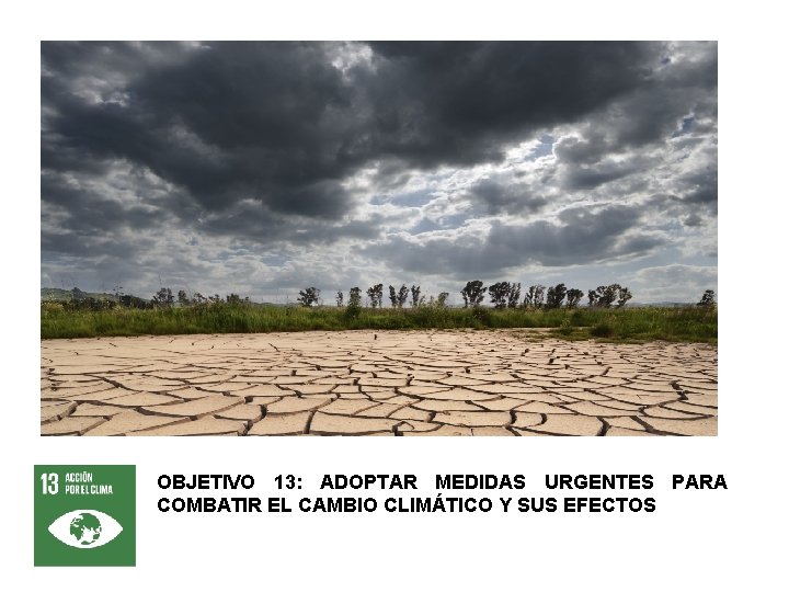 OBJETIVO 13: ADOPTAR MEDIDAS URGENTES PARA COMBATIR EL CAMBIO CLIMÁTICO Y SUS EFECTOS 