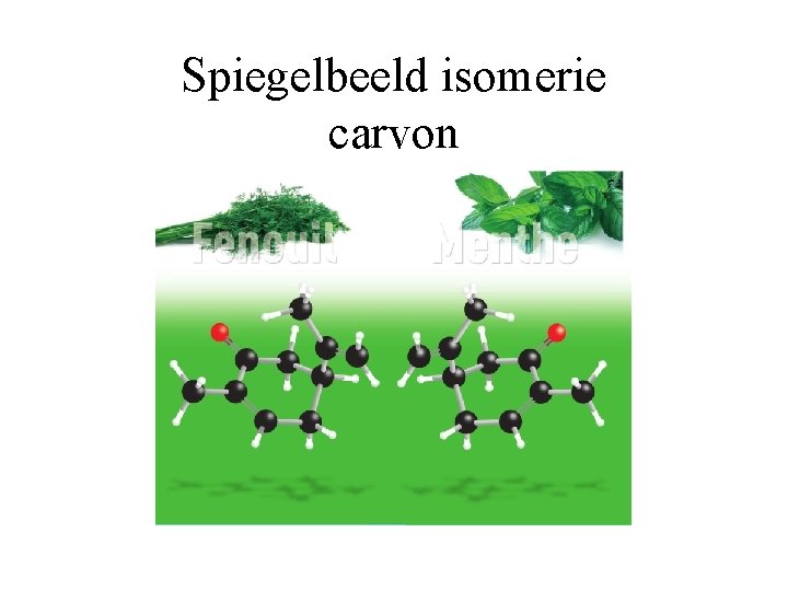 Spiegelbeeld isomerie carvon 