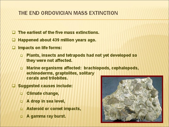 THE END ORDOVICIAN MASS EXTINCTION q The earliest of the five mass extinctions. q