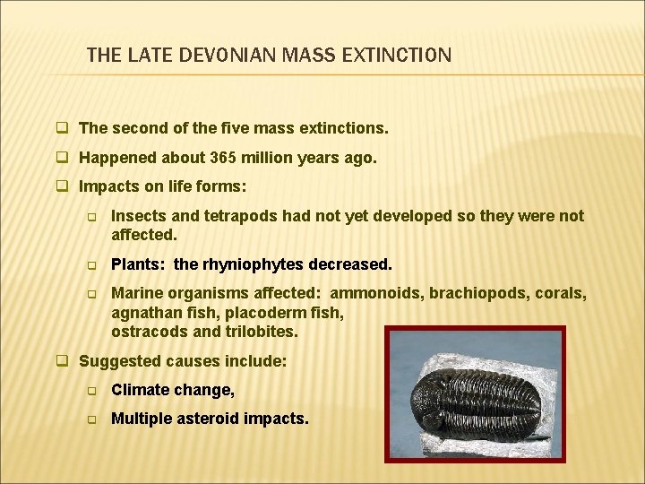 THE LATE DEVONIAN MASS EXTINCTION q The second of the five mass extinctions. q