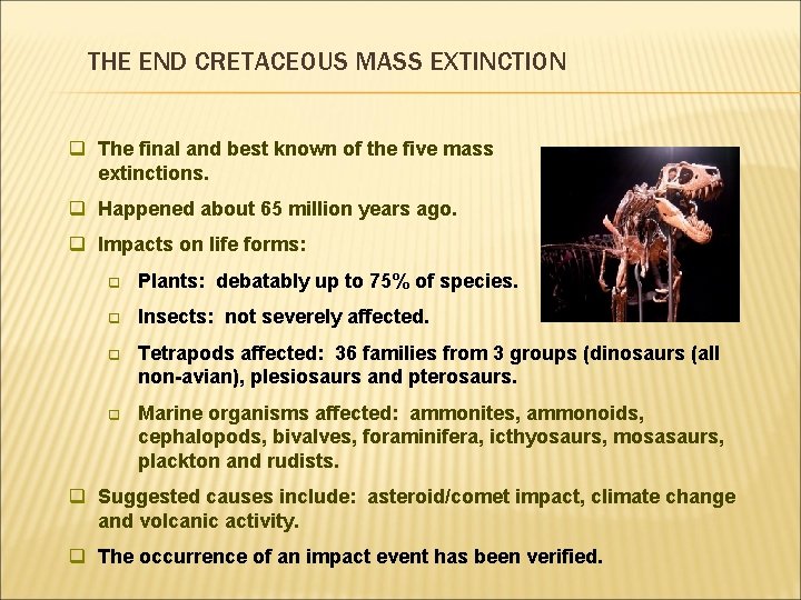 THE END CRETACEOUS MASS EXTINCTION q The final and best known of the five