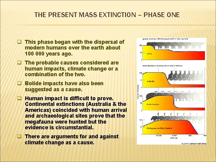 THE PRESENT MASS EXTINCTION – PHASE ONE q This phase began with the dispersal