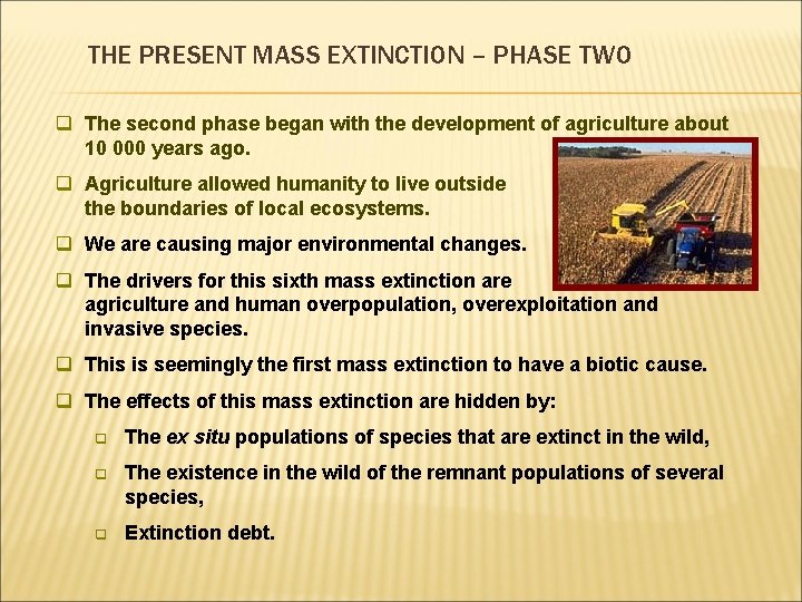THE PRESENT MASS EXTINCTION – PHASE TWO q The second phase began with the