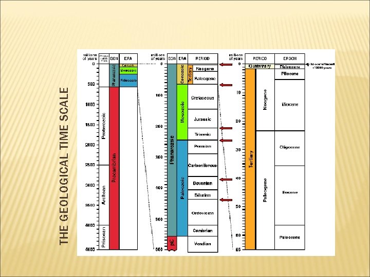 THE GEOLOGICAL TIME SCALE 