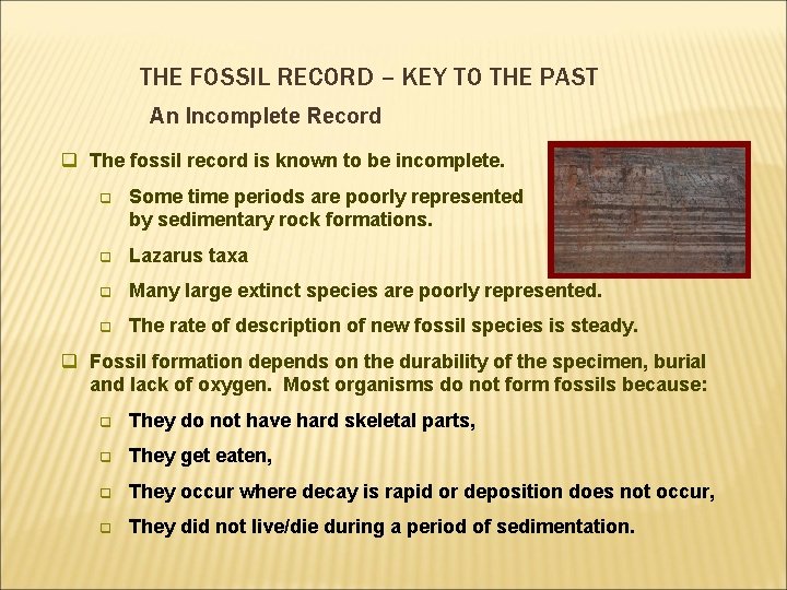 THE FOSSIL RECORD – KEY TO THE PAST An Incomplete Record q The fossil