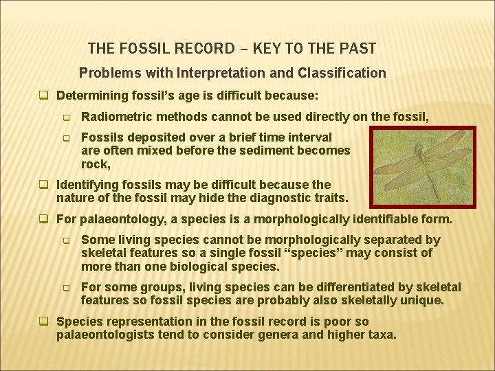 THE FOSSIL RECORD – KEY TO THE PAST Problems with Interpretation and Classification q