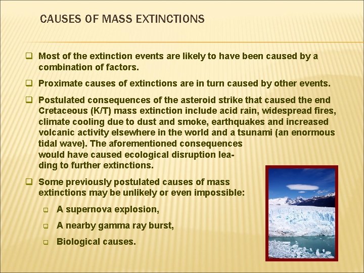 CAUSES OF MASS EXTINCTIONS q Most of the extinction events are likely to have