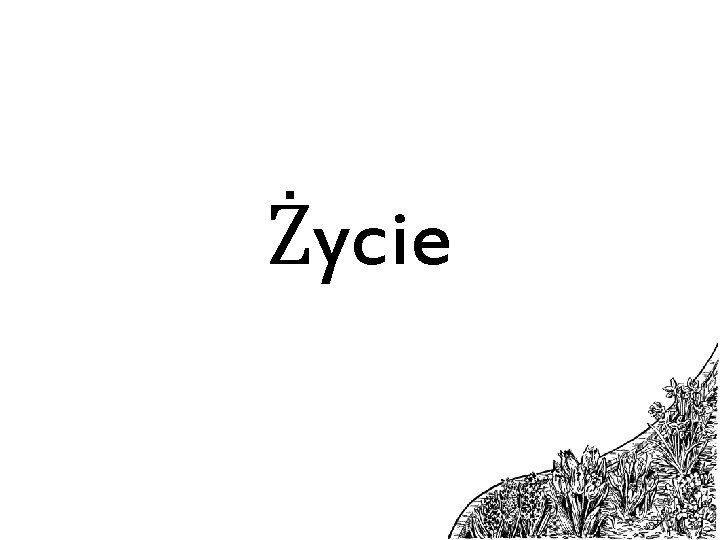 Życie 