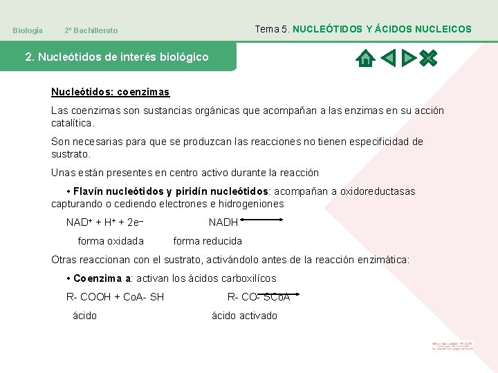Biología Tema 5. NUCLEÓTIDOS Y ÁCIDOS NUCLEICOS 2º Bachillerato 2. Nucleótidos de interés biológico