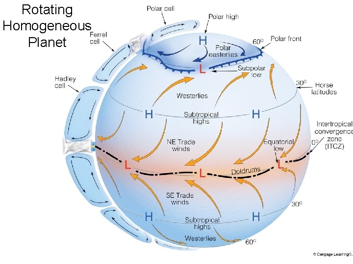 Rotating Homogeneous Planet 