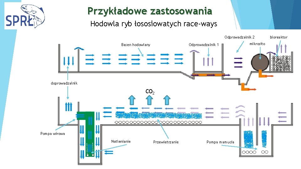 Przykładowe zastosowania Hodowla ryb łososiowatych race-ways Odprowadzalnik 2 Odprowadzalnik 1 Basen hodowlany doprowadzalnik CO