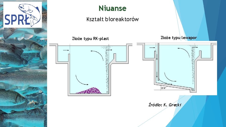 Niuanse Kształt bioreaktorów Złoże typu RK-plast Złoże typu lewapor Źródło: K. Grecki 