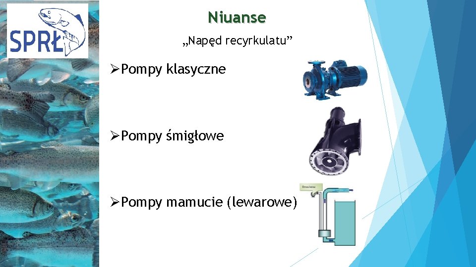 Niuanse „Napęd recyrkulatu” ØPompy klasyczne ØPompy śmigłowe ØPompy mamucie (lewarowe) 