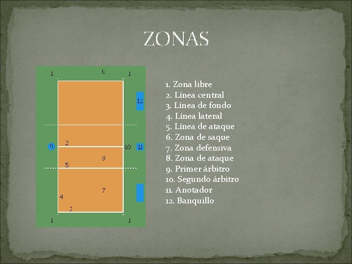 ZONAS 1. Zona libre 2. Línea central 3. Línea de fondo 4. Línea lateral