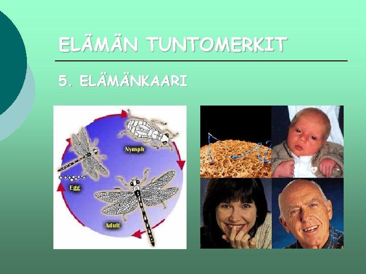 ELÄMÄN TUNTOMERKIT 5. ELÄMÄNKAARI 