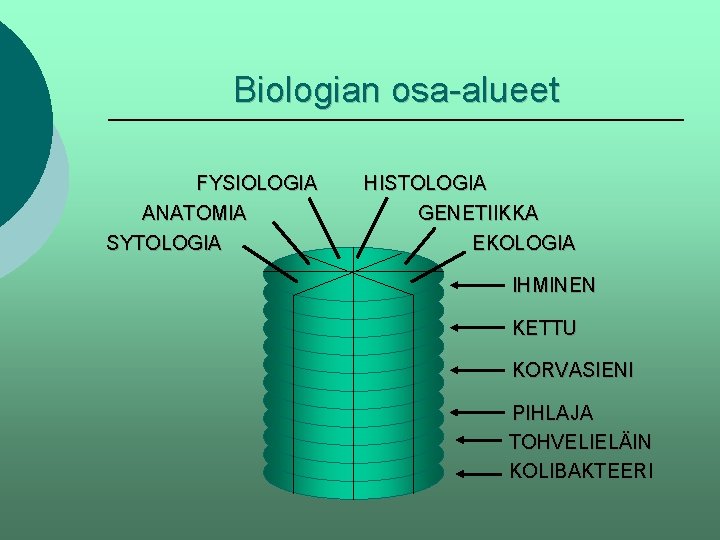 Biologian osa-alueet FYSIOLOGIA ANATOMIA SYTOLOGIA HISTOLOGIA GENETIIKKA EKOLOGIA IHMINEN KETTU KORVASIENI PIHLAJA TOHVELIELÄIN KOLIBAKTEERI