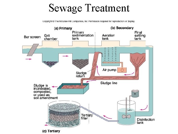 Sewage Treatment 