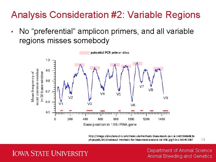 Analysis Consideration #2: Variable Regions • No “preferential” amplicon primers, and all variable regions