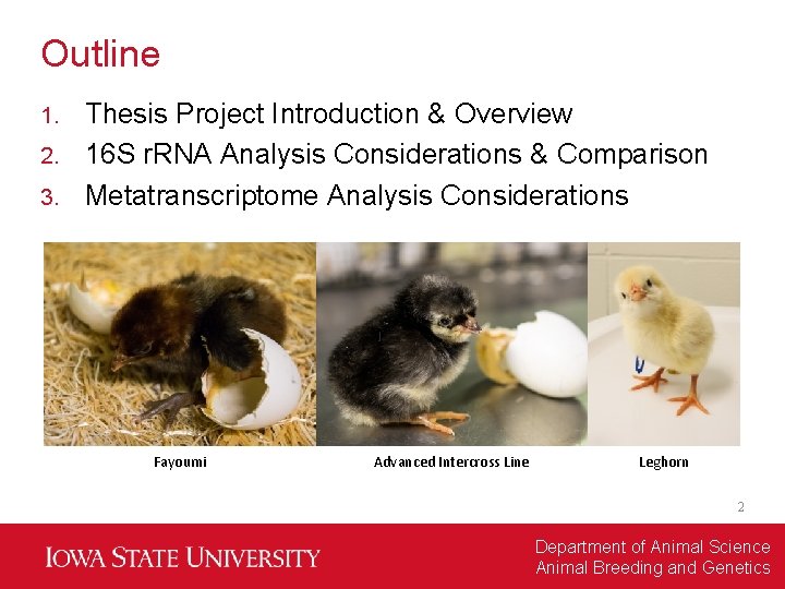 Outline Thesis Project Introduction & Overview 2. 16 S r. RNA Analysis Considerations &