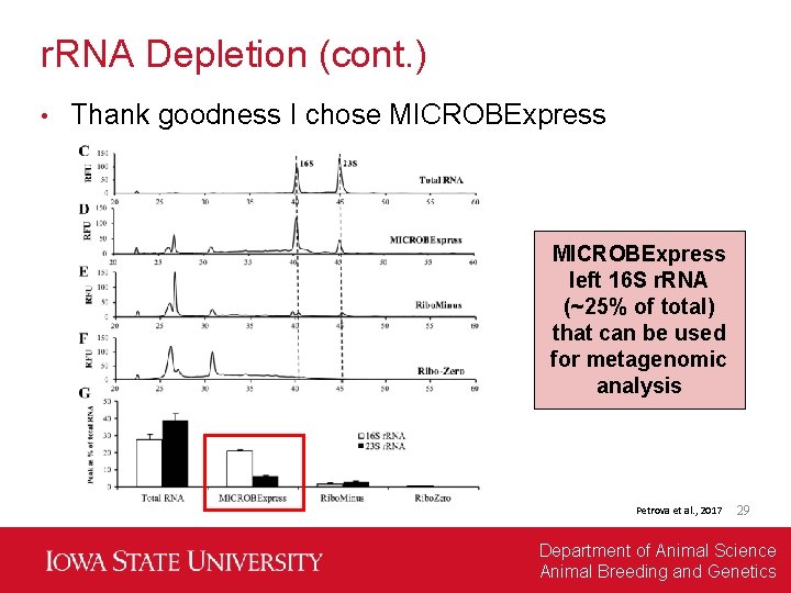 r. RNA Depletion (cont. ) • Thank goodness I chose MICROBExpress left 16 S