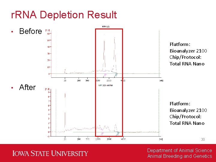 r. RNA Depletion Result • Before Platform: Bioanalyzer 2100 Chip/Protocol: Total RNA Nano •