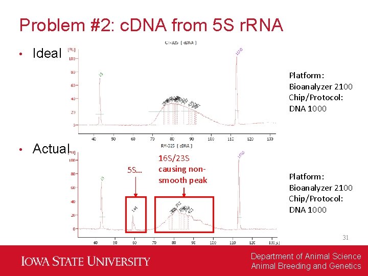 Problem #2: c. DNA from 5 S r. RNA • Ideal Platform: Bioanalyzer 2100