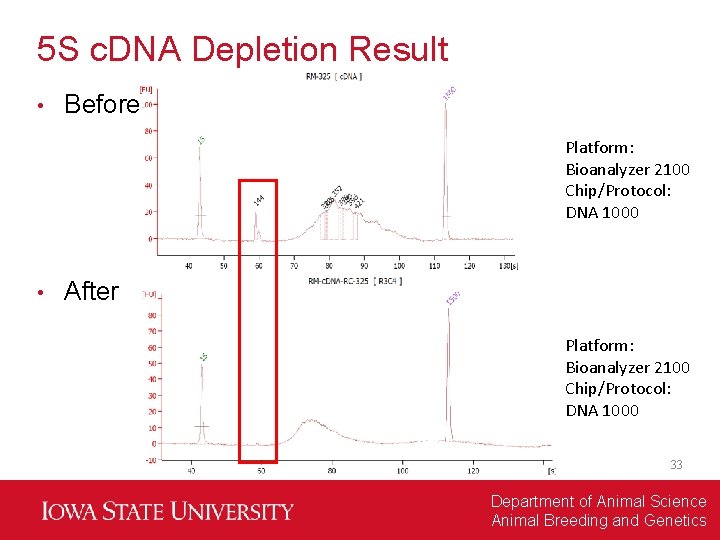 5 S c. DNA Depletion Result • Before Platform: Bioanalyzer 2100 Chip/Protocol: DNA 1000