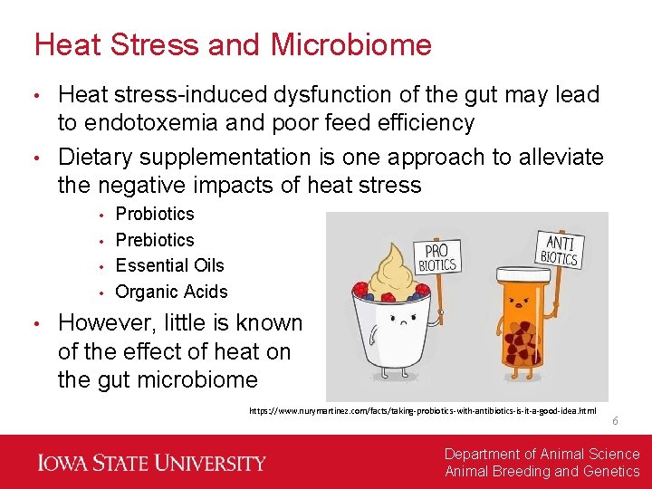 Heat Stress and Microbiome Heat stress-induced dysfunction of the gut may lead to endotoxemia