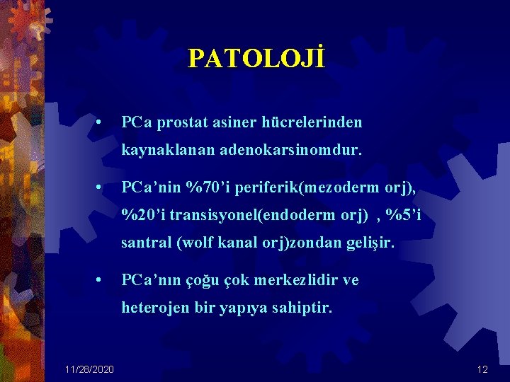 PATOLOJİ • PCa prostat asiner hücrelerinden kaynaklanan adenokarsinomdur. • PCa’nin %70’i periferik(mezoderm orj), %20’i