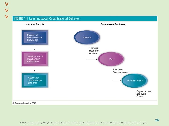 ^ ^ © 2013 Cengage Learning. All Rights Reserved. May not be scanned, copied