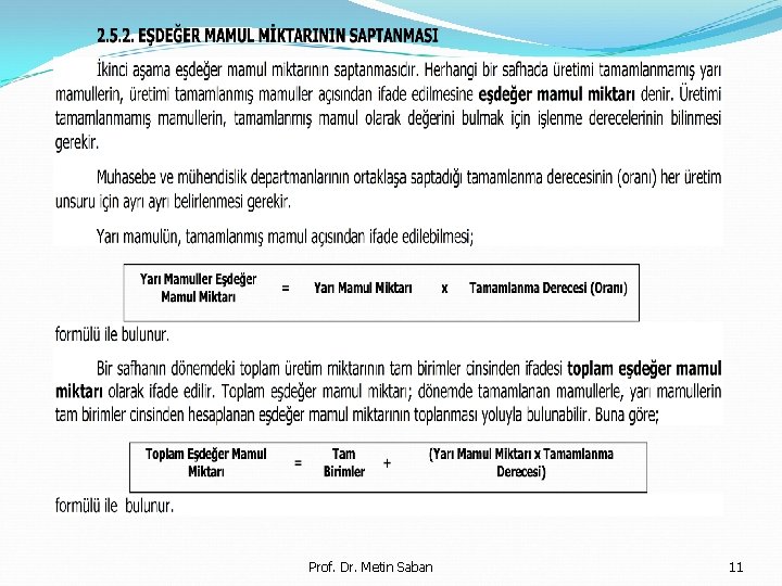 Prof. Dr. Metin Saban 11 