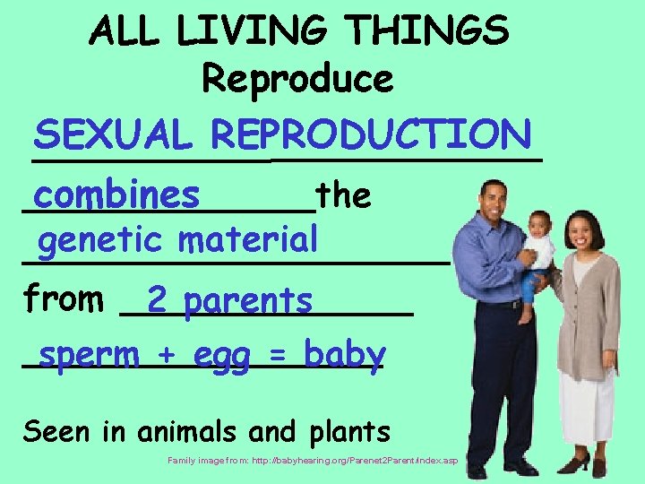 ALL LIVING THINGS Reproduce SEXUAL REPRODUCTION ____________the combines genetic material __________ from _______ 2