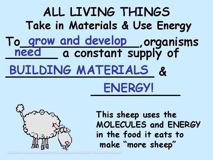  ALL LIVING THINGS Take in Materials & Use Energy grow and develop To________,