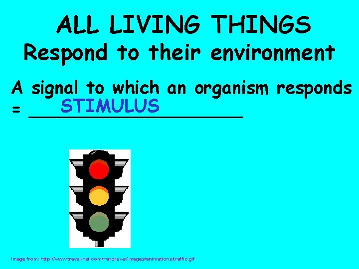  ALL LIVING THINGS Respond to their environment A signal to which an organism