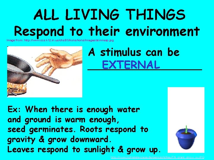  ALL LIVING THINGS Respond to their environment Image from: http: //www. ccs. k