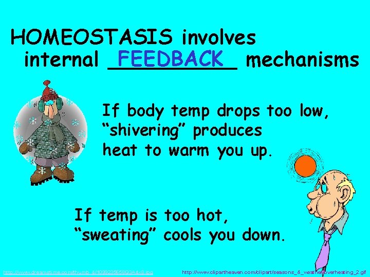 HOMEOSTASIS involves FEEDBACK mechanisms internal _____ If body temp drops too low, “shivering” produces