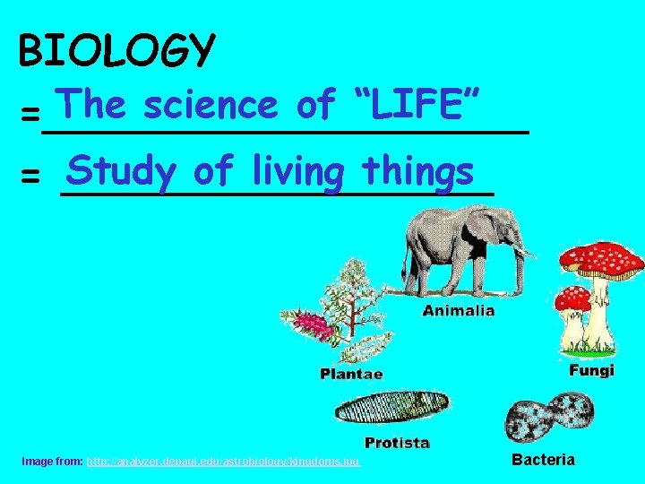 BIOLOGY The science of “LIFE” =_________ Study of living things = ________ Image from: