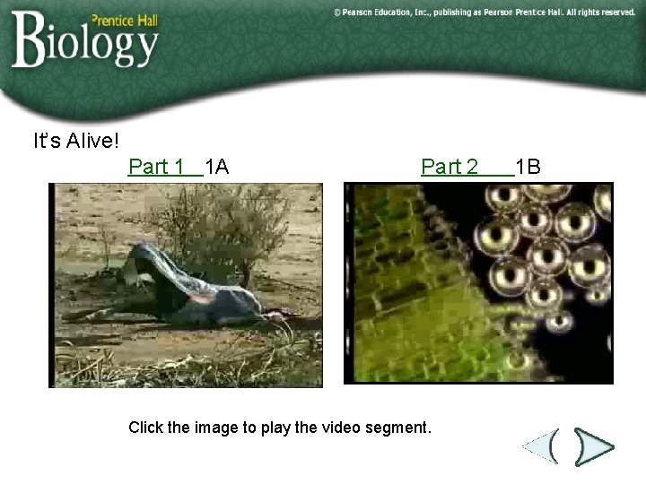 It’s Alive! Part 1 1 A Part 2 Click the image to play the