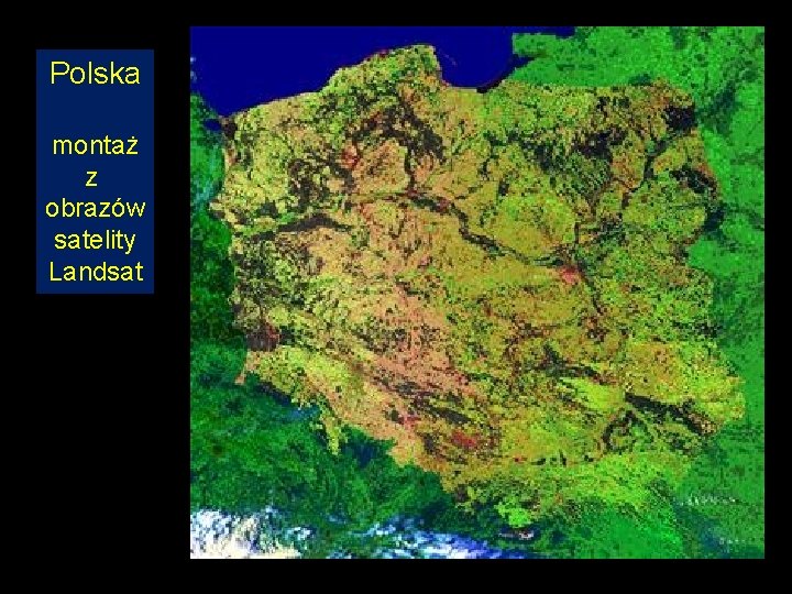 Polska montaż z obrazów satelity Landsat 