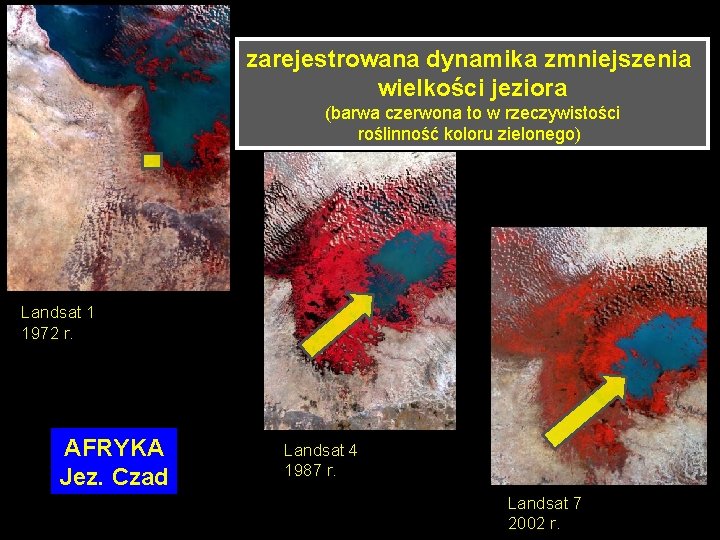 zarejestrowana dynamika zmniejszenia wielkości jeziora (barwa czerwona to w rzeczywistości roślinność koloru zielonego) Landsat