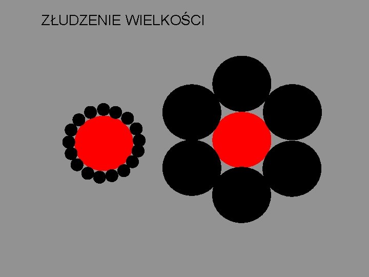 ZŁUDZENIE WIELKOŚCI 