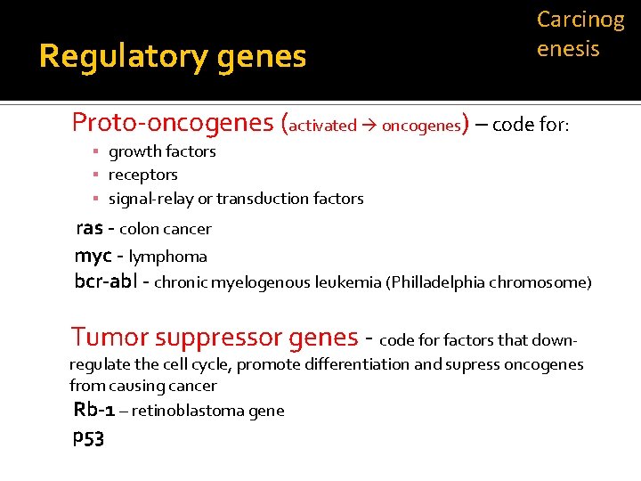 Regulatory genes Carcinog enesis Proto-oncogenes (activated oncogenes) – code for: ▪ growth factors ▪