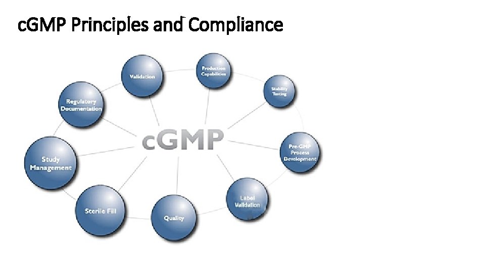 c. GMP Principles and Compliance 