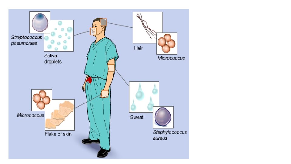 1. Contamination Control 