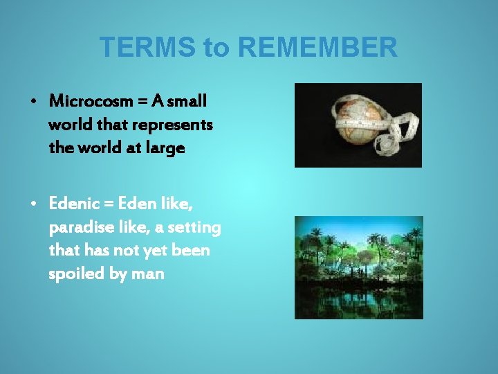 TERMS to REMEMBER • Microcosm = A small world that represents the world at