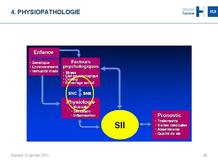 4. PHYSIOPATHOLOGIE Samedi 21 janvier 2011 58 