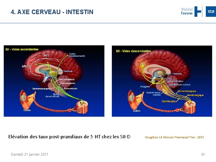 4. AXE CERVEAU - INTESTIN Elévation des taux post-prandiaux de 5 HT chez les