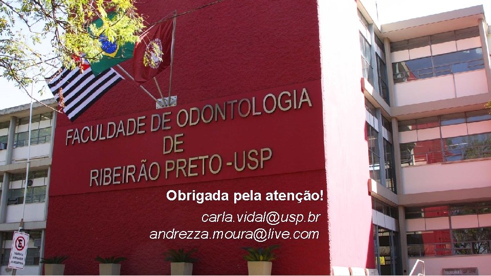 Obrigada pela atenção! carla. vidal@usp. br andrezza. moura@live. com 