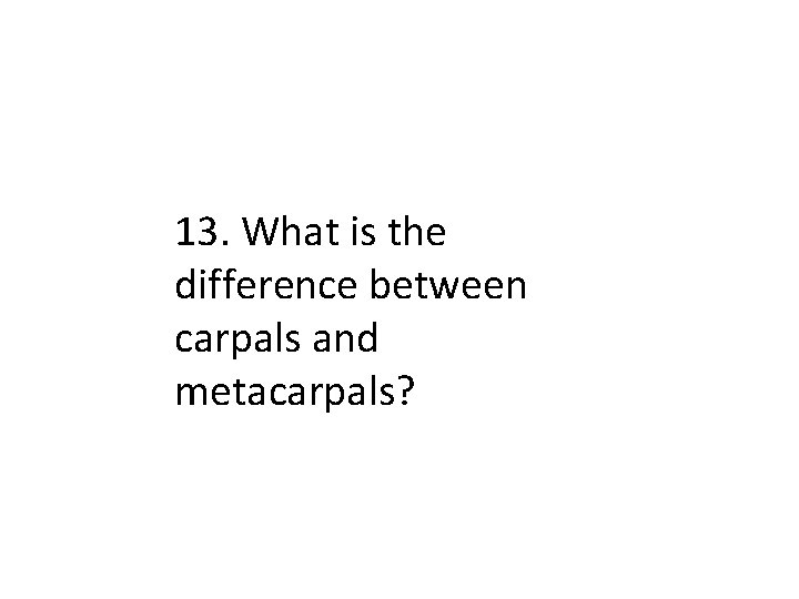 13. What is the difference between carpals and metacarpals? 