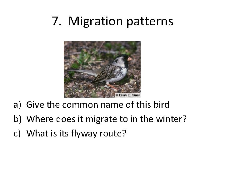 7. Migration patterns a) Give the common name of this bird b) Where does